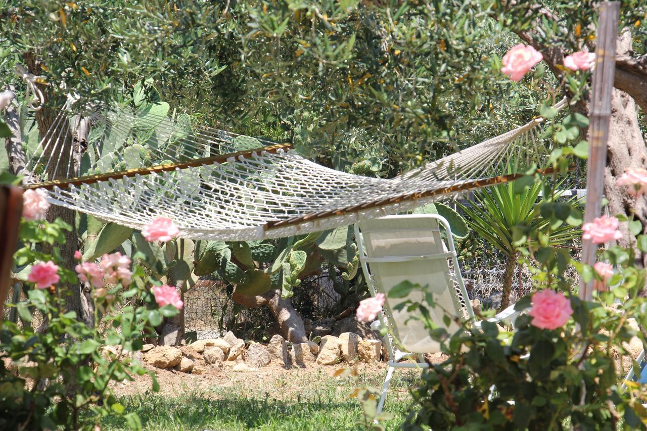 مبيت وإفطار كاستيلاّماري ديل غو Uliveto House المظهر الخارجي الصورة