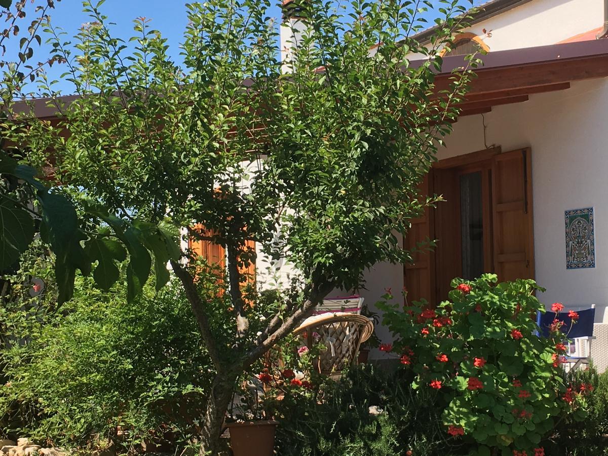 مبيت وإفطار كاستيلاّماري ديل غو Uliveto House المظهر الخارجي الصورة